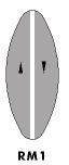 No overtaking lines