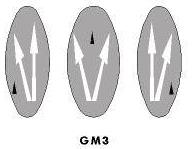 Bifurcation arrows