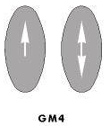 Information arrows