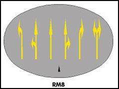 Mandatory direction arrows