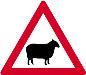 Domestic animals
