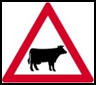 Domestic animals