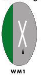 Railway crossing ahead